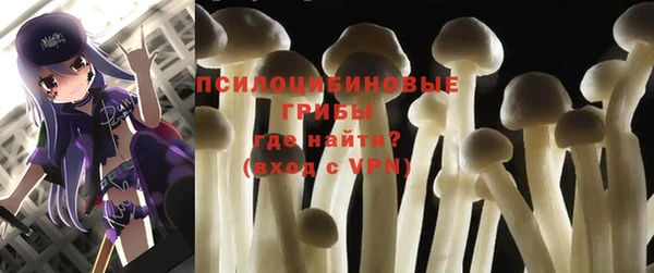 соль ск Няндома