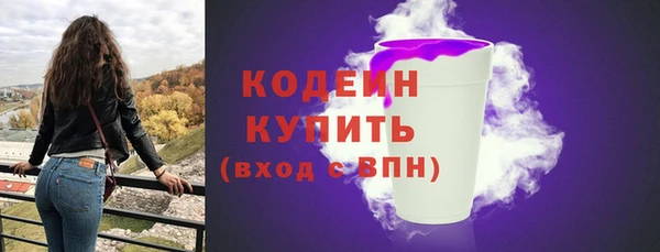 соль ск Няндома