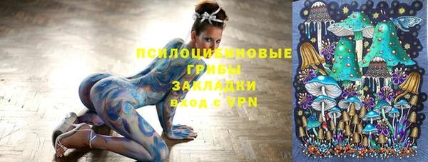 соль ск Няндома