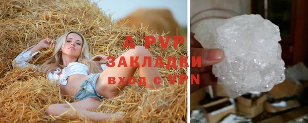 соль ск Няндома
