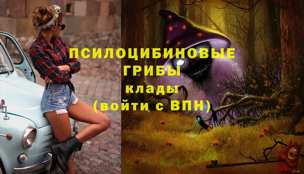 соль ск Няндома