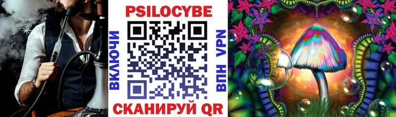 Псилоцибиновые грибы Psilocybe  блэк спрут как зайти  Кологрив 